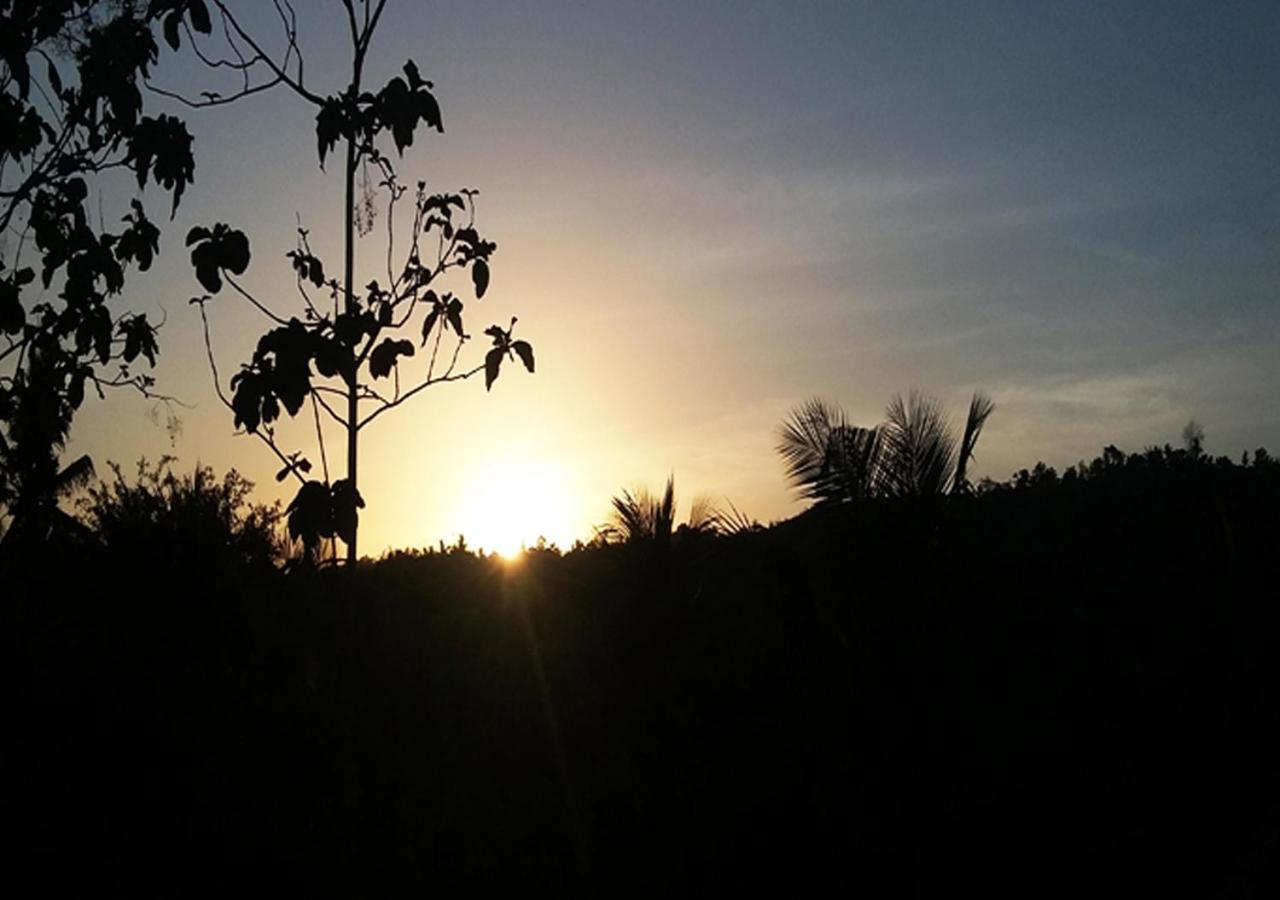 Sebrang Hills Bungalow Ped Bagian luar foto